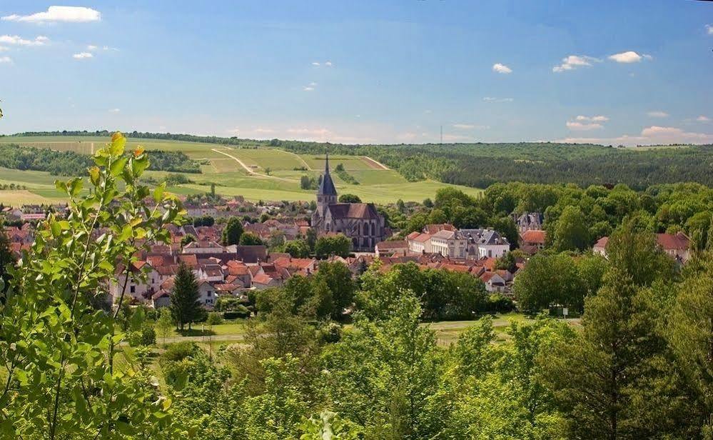 La Promenade En Champagne Bed and Breakfast Mussy-sur-Seine Buitenkant foto