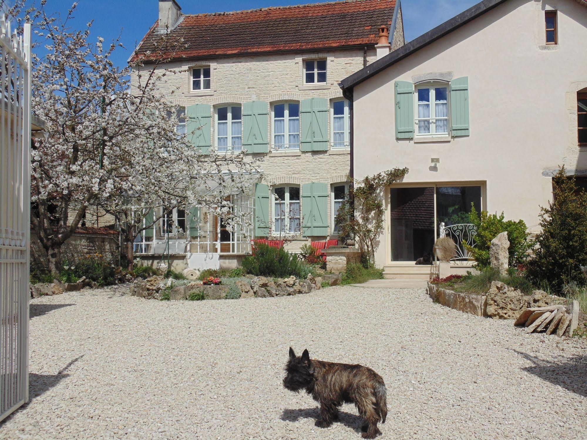 La Promenade En Champagne Bed and Breakfast Mussy-sur-Seine Buitenkant foto